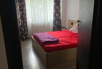 Inchiriere Apartament 4 camere Gorjului-Lujerului - 11