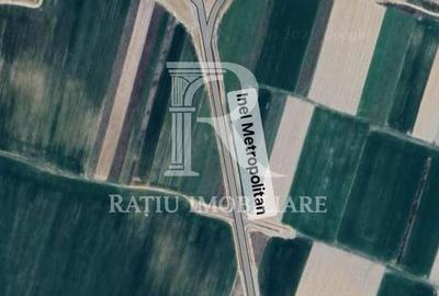 Teren agricol extravilan de 4011 mp, în Oșorhei