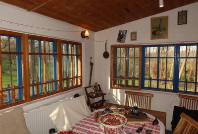 Conac de vânzare | Provița de Sus | 10.000 mp teren | 2 case | 6 dormitoare - 8