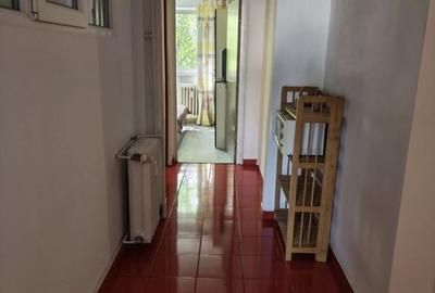 Apartament 2 camere decomandat Raul Doamnei, Drumul Taberei - 6