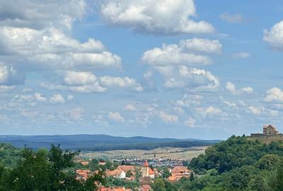 VAND 1648 MP TEREN CU PUZ CISNADIOARA - 3