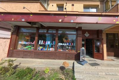 Spațiu comercial, 93.4 mp în Terezian