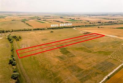 RECO teren extravilan ideal pentru balastiera in Rosiori - 8