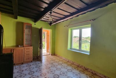 Casa cu teren 37 arii Apateu 45000 Euro - 9