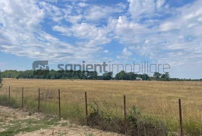 Teren Construcții intravilan de 10000 mp, în Tileagd