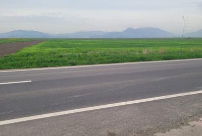 Teren Construcții intravilan de 15000 mp, în Prejmer