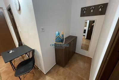 Apartament cu 1 cameră - cartier Tudor Vladimirescu, zona Rexo - 9