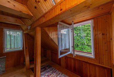 De vanzare casa la munte, Cheia, Prahova, P+2+Pod, 200mp, gradina - 41
