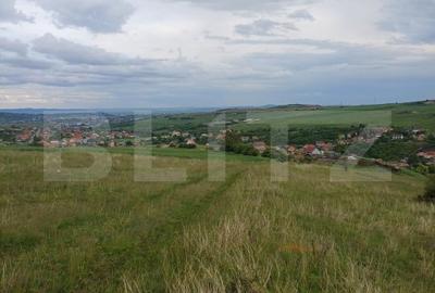 Teren agricol extravilan de 1248 mp, în Copăceni