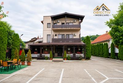 Hotel/Pensiune, în Alexandru cel Bun