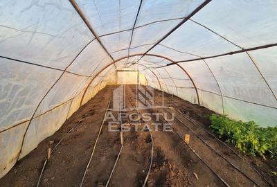 Casă individuală cu etaj, teren 3000 mp, grădină și solar – Satchinez - 3