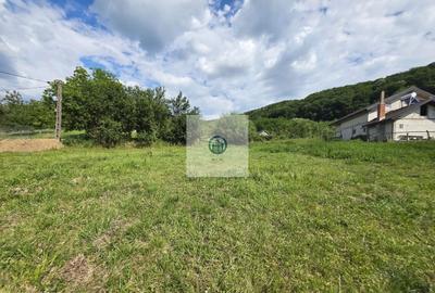 Teren agricol intravilan de 2340 mp, în Șoimuș