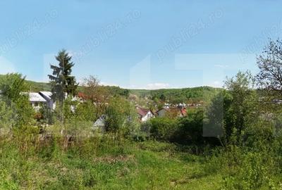 Teren Construcții intravilan de 800 mp, în Viforâta