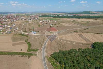 De vânzare teren intravilan, 4.130 mp în Cihei – Sânmartin - 3