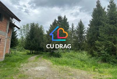 Investiție cu suflet: Pensiune de vânzare pe Valea Avrigului - 1