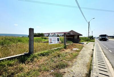 Teren cu potențial de dezvoltare –7427 mp în Argeșelu, Mărăcineni, județul Arges - 2