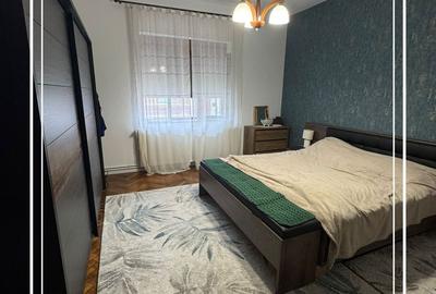 Vila renovat de vanzare D+P curte proprie 774 mp, semicentral Arad - 18