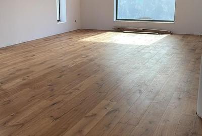 Moara Vlasiei / Caciulati, finisaje premium, 4 camerere, teren 550 mp - 2