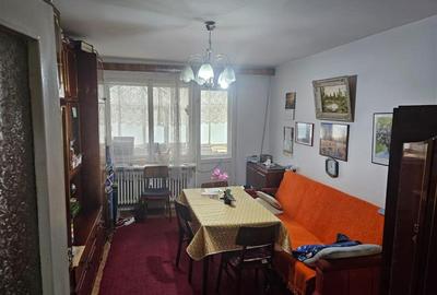 Apartament cu 2 camere circular în George Enescu
