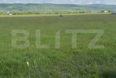 Teren Construcții intravilan de 12000 mp, în Unirea