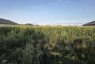 Teren Construcții intravilan de 3500 mp, în Păulești