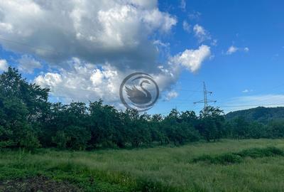 Teren de vanzare | 3.600mp | Valeni de Munte, Prahova | Comision 0% - 3