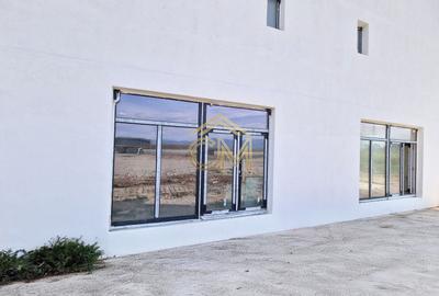 Spatiu Comercial - 95 MP Construiti-Parter-Selimbar - 3