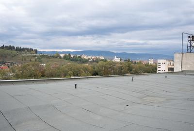 Clădire industrială cu potențial mixt – producție, depozitare, servicii –Toplița - 9
