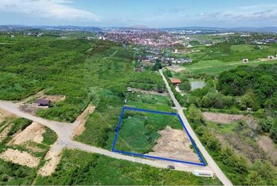 Teren intravilan de vânzare – 4.000 mp, Vișan - 1