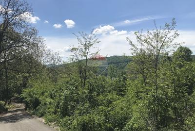 Vanzare Teren INTRAVILAN Padure 2,511mp BREBU MANASTIREI  PRAHOVA - 1