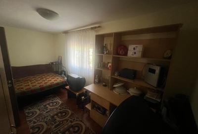 Vand casa cu livada si solar + spatiu comercial in sat Cismele (1498 mp) - 7