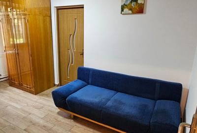 Apartament cu 2 camere nedecomandat, mobilat în Șagului