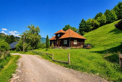FILM! Casa traditionala pe domeniu de 4.300mp teren, Bran - Simon, Brasov - 18