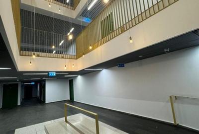 Apartament 2 camere Aviatiei Park - Herastrau - Comision 0! - 10