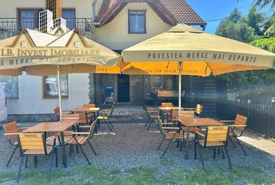 Spatiu comercial-Dumbravita- 650 euro - 11