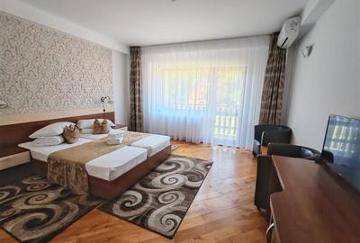 Oportunitate de business: complex turistic cu restaurant, terase si pensiune – S - 10