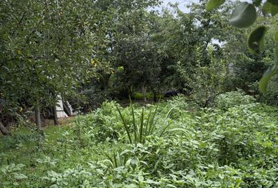 Afumați, jud. Ilfov, strada Mircea Vodă, casă demolabilă - 3