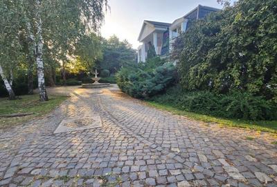 Vila individuala, teren 3000 mp, Iancu Nicolae - 31