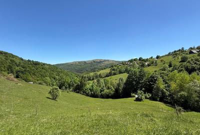 Teren de vânzare în Răchițele – 10.479 mp ! Priveliste panoramica ! - 7