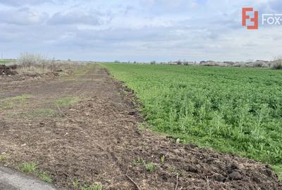 Parcela de teren intravilan de vanzare, 502 mp - Sacalaz - 2