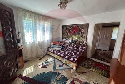 Casa bunicilor, cu gradina, Lera, Buzau! - 4