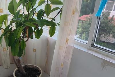 Exclusivitate! Apartament 2 camere - confort 0 - Navodari - Lidl (Cod E5) - 8