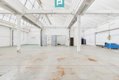 Hală de 431 mp în parc industrial Arad - 7