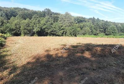 Teren intravilan de vanzare 1856 mp in Avrig zona Valea Avrigului - 1