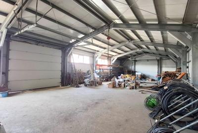 Proprietate industrială cu hală metalică, birouri și teren – Golești - 5