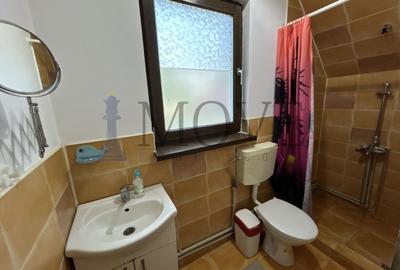 BELCIUGATELE- Casă de vacanță sau locuință permanentă - 23