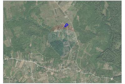 De vânzare teren extravilan, 1.338mp, strada Dealul Mare - Paleu - 2