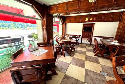 Oportunitate unică Valea Prahovei, hotel+vilă+business, teren 8137 mp - 31
