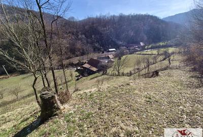 Casa de vanzare/schimb in Metes - Presaca Ampoiului - 8