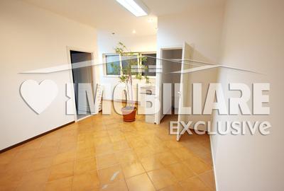 Spatiu comercial - Complexul Studentesc, Timisoara - 1